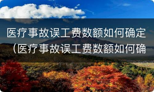 医疗事故误工费数额如何确定（医疗事故误工费数额如何确定标准）