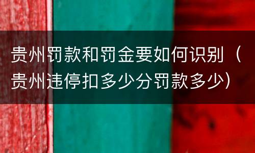 贵州罚款和罚金要如何识别（贵州违停扣多少分罚款多少）