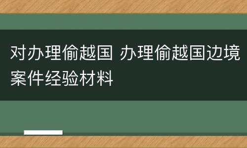 对办理偷越国 办理偷越国边境案件经验材料