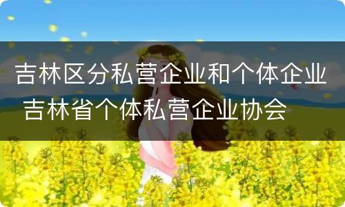 吉林区分私营企业和个体企业 吉林省个体私营企业协会