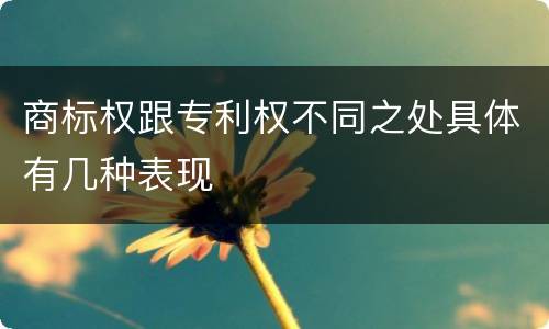 商标权跟专利权不同之处具体有几种表现