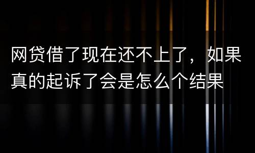 网贷借了现在还不上了，如果真的起诉了会是怎么个结果