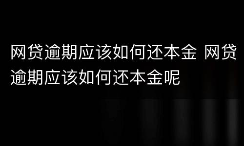 网贷逾期应该如何还本金 网贷逾期应该如何还本金呢