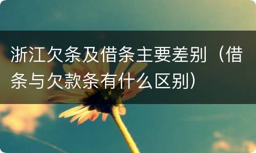 浙江欠条及借条主要差别（借条与欠款条有什么区别）