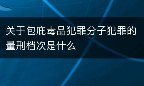 关于包庇毒品犯罪分子犯罪的量刑档次是什么