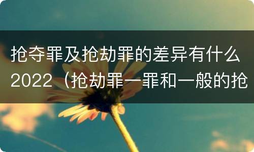 抢夺罪及抢劫罪的差异有什么2022（抢劫罪一罪和一般的抢劫罪）