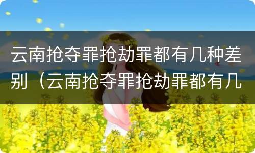 云南抢夺罪抢劫罪都有几种差别（云南抢夺罪抢劫罪都有几种差别处罚）