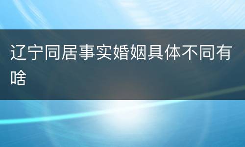 辽宁同居事实婚姻具体不同有啥