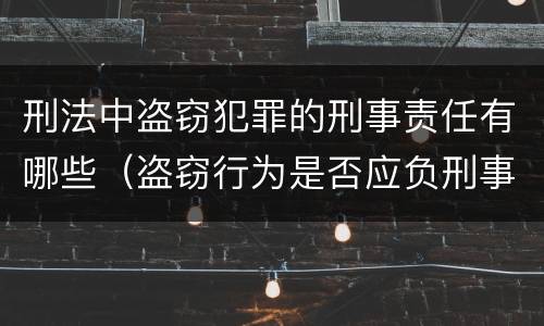 刑法中盗窃犯罪的刑事责任有哪些（盗窃行为是否应负刑事法律责任）