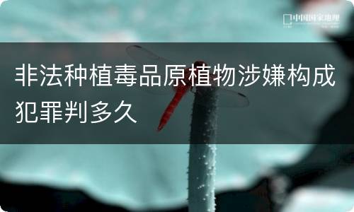非法种植毒品原植物涉嫌构成犯罪判多久
