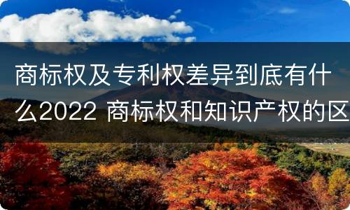 商标权及专利权差异到底有什么2022 商标权和知识产权的区别