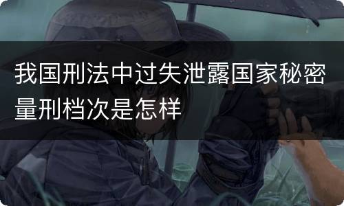我国刑法中过失泄露国家秘密量刑档次是怎样