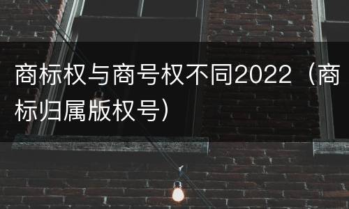 商标权与商号权不同2022（商标归属版权号）