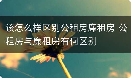 该怎么样区别公租房廉租房 公租房与廉租房有何区别