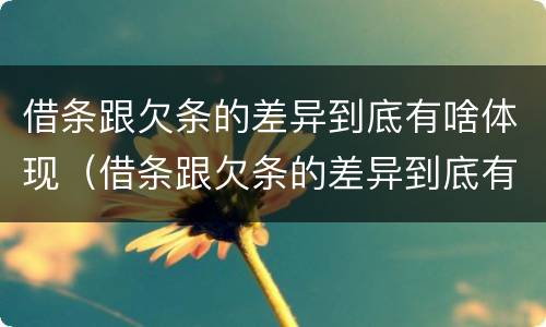 借条跟欠条的差异到底有啥体现（借条跟欠条的差异到底有啥体现呢）