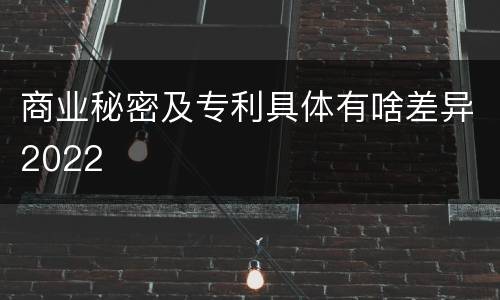 商业秘密及专利具体有啥差异2022