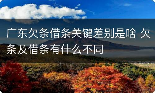 广东欠条借条关键差别是啥 欠条及借条有什么不同