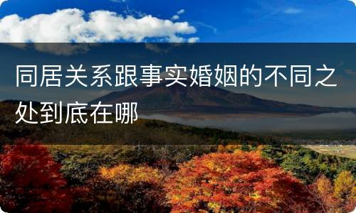 同居关系跟事实婚姻的不同之处到底在哪