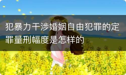 犯暴力干涉婚姻自由犯罪的定罪量刑幅度是怎样的