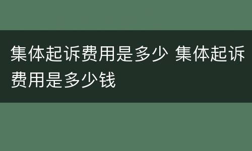 集体起诉费用是多少 集体起诉费用是多少钱