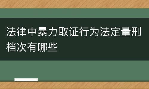 法律中暴力取证行为法定量刑档次有哪些