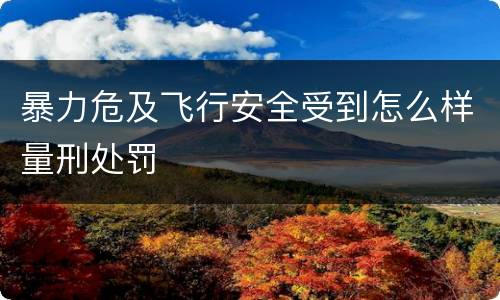 暴力危及飞行安全受到怎么样量刑处罚
