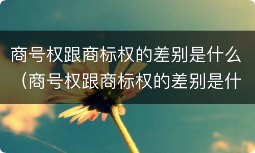 商号权跟商标权的差别是什么（商号权跟商标权的差别是什么呢）