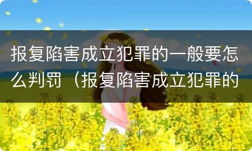 报复陷害成立犯罪的一般要怎么判罚（报复陷害成立犯罪的一般要怎么判罚呢）