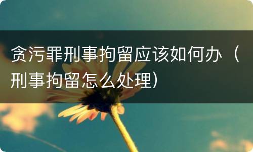 贪污罪刑事拘留应该如何办（刑事拘留怎么处理）