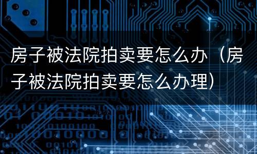 房子被法院拍卖要怎么办（房子被法院拍卖要怎么办理）