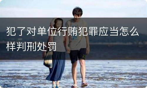 犯了对单位行贿犯罪应当怎么样判刑处罚