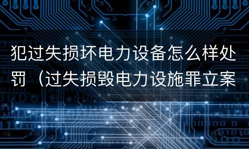 犯过失损坏电力设备怎么样处罚（过失损毁电力设施罪立案标准）