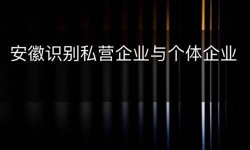 安徽识别私营企业与个体企业