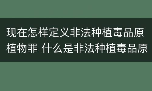 现在怎样定义非法种植毒品原植物罪 什么是非法种植毒品原植物罪