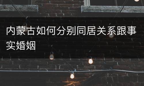 内蒙古如何分别同居关系跟事实婚姻