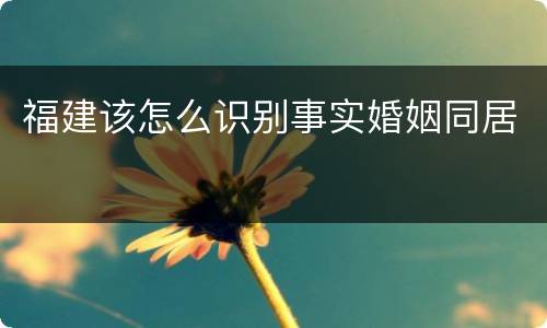 福建该怎么识别事实婚姻同居