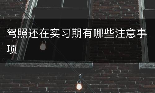 驾照还在实习期有哪些注意事项