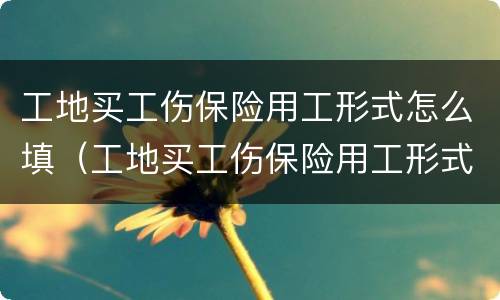 工地买工伤保险用工形式怎么填（工地买工伤保险用工形式怎么填写）