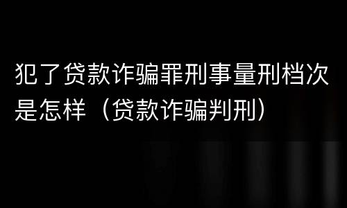 犯了贷款诈骗罪刑事量刑档次是怎样（贷款诈骗判刑）
