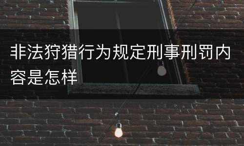 非法狩猎行为规定刑事刑罚内容是怎样