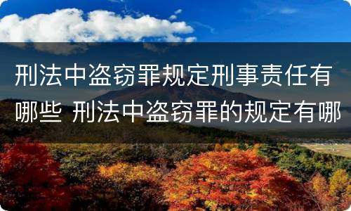 刑法中盗窃罪规定刑事责任有哪些 刑法中盗窃罪的规定有哪些
