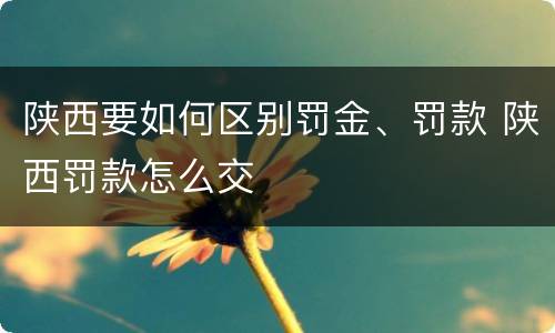 陕西要如何区别罚金、罚款 陕西罚款怎么交