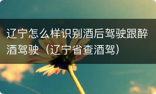 辽宁怎么样识别酒后驾驶跟醉酒驾驶（辽宁省查酒驾）