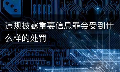 违规披露重要信息罪会受到什么样的处罚