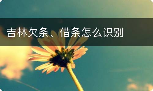 吉林欠条、借条怎么识别