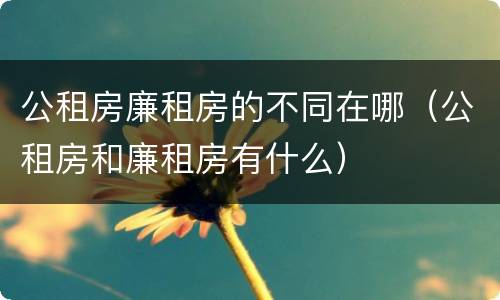 公租房廉租房的不同在哪（公租房和廉租房有什么）