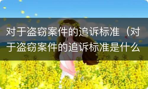 对于盗窃案件的追诉标准（对于盗窃案件的追诉标准是什么）