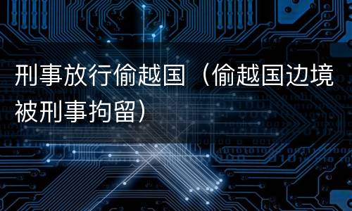 刑事放行偷越国（偷越国边境被刑事拘留）