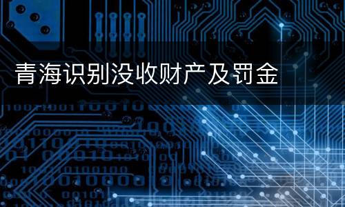 青海识别没收财产及罚金
