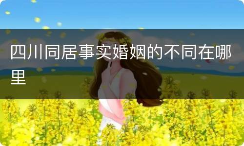 四川同居事实婚姻的不同在哪里